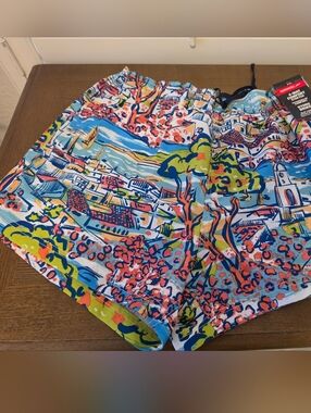 Speedo Blue Multicolor Scenic Print Men's Swim Shorts